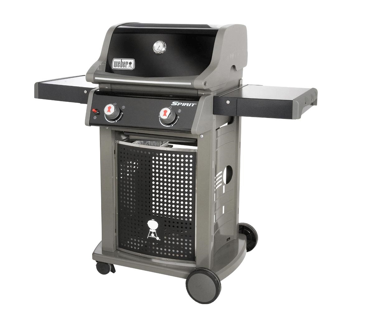 er Spirit E210 Classic Black ElectroStudio