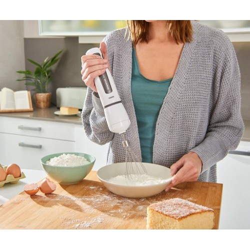 Taurus Ραβδομπλέντερ Bapi 1000 Plus Inox(39421)