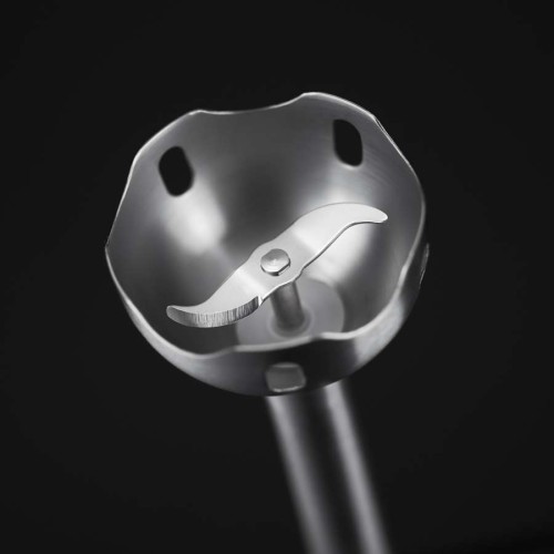 Russell Hobbs Ραβδομπλέντερ Desire 24690-56 (810411)