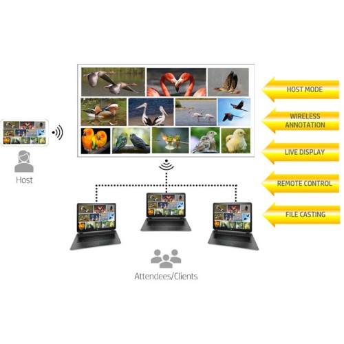 HP Βιντεοπροβολέας MP2000 Pro/GRS με WiFi & Bluetooth (113049-0040)