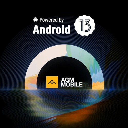 AGM Tablet PAD P1 (120087-0005) 10.36'' Tablet με WiFi (8GB/256GB) Γκρι