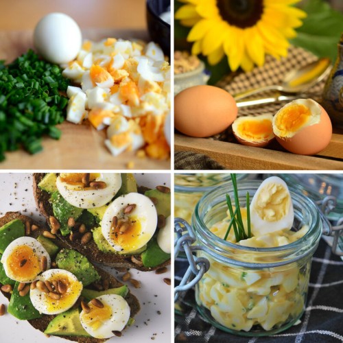 First Austria Βραστήρας Αυγών FA-5115-3 (199201-0025)