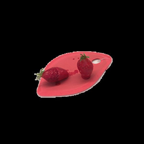 Terraillon Terraillon GR14061 Εργαλείο για Μπωλ Bowl Scraper Access - 100235-0007