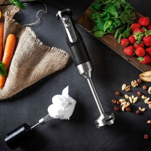 First Austria First Austria FA-5273-5 Ραβδομπλέντερ χειρός 0.45L 600 W - 199196-0080