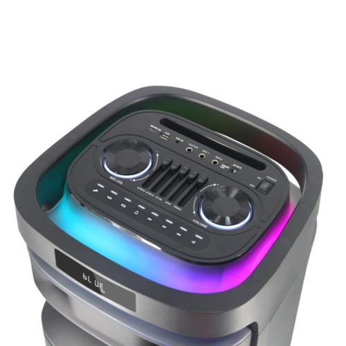 Akai Φορητό Ηχείο Sonic X12 100W με Bluetooth 5.3, FM, TWS & Ασύρματο Μικρόφωνο