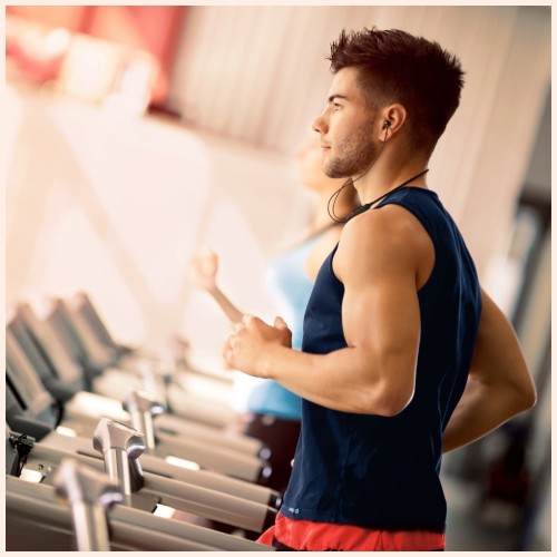 Motorola Motorola SP106 Μαύρα Ακουστικά Bluetooth In-Ear Sport με Μικρόφωνο (Neckband, έως 11 ώρες)