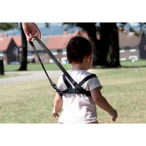 Olympia Ζώνη ασφαλείας BS 864 (1106106-0030)