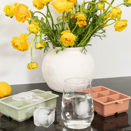 Estia Παγοθήκη σιλικόνης 6 θέσεων Rotten Apple