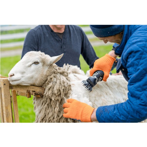 Bormann Κουρευτική Μηχανή Προβάτων BHC3000(022220)