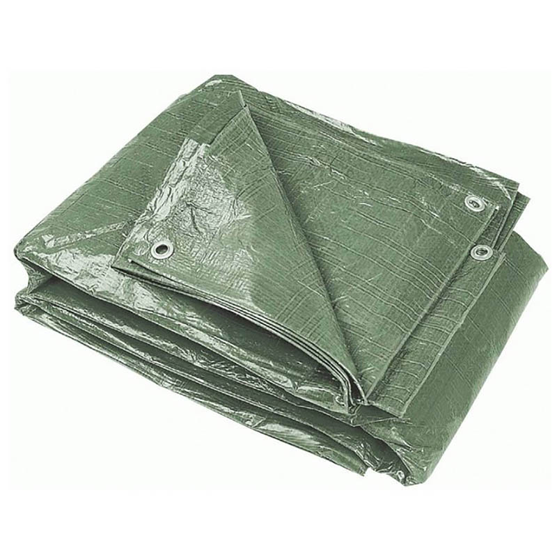 Bormann BORMANN BTR2040 Μουσαμάς 60gr 4x6m