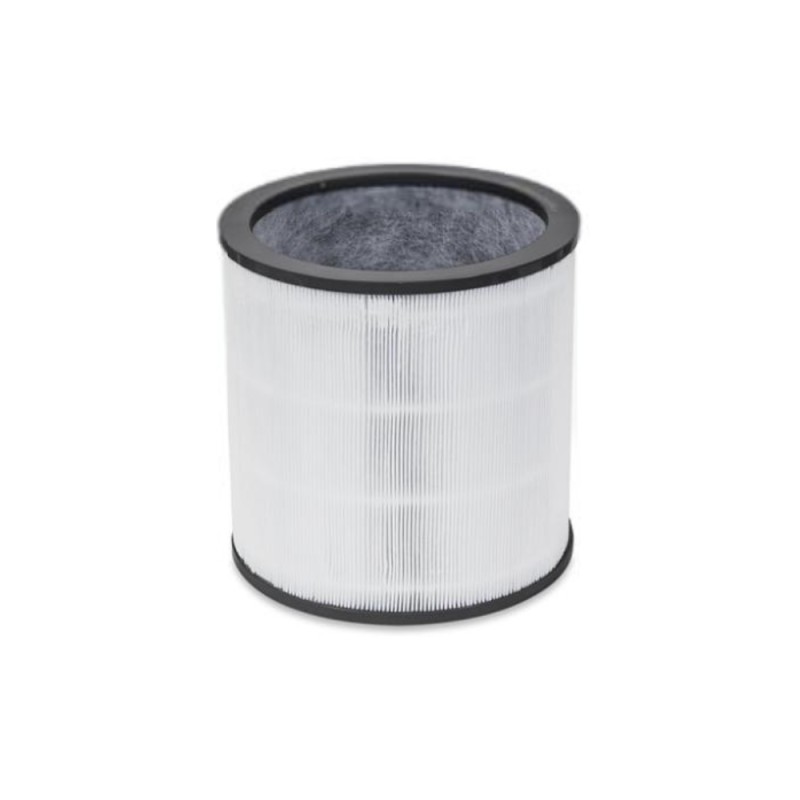 Dyson DYSON 972425-01 Evo Carbon Filter Retail for HP00/HP01/ HP02/HP03/ DP01/DP03