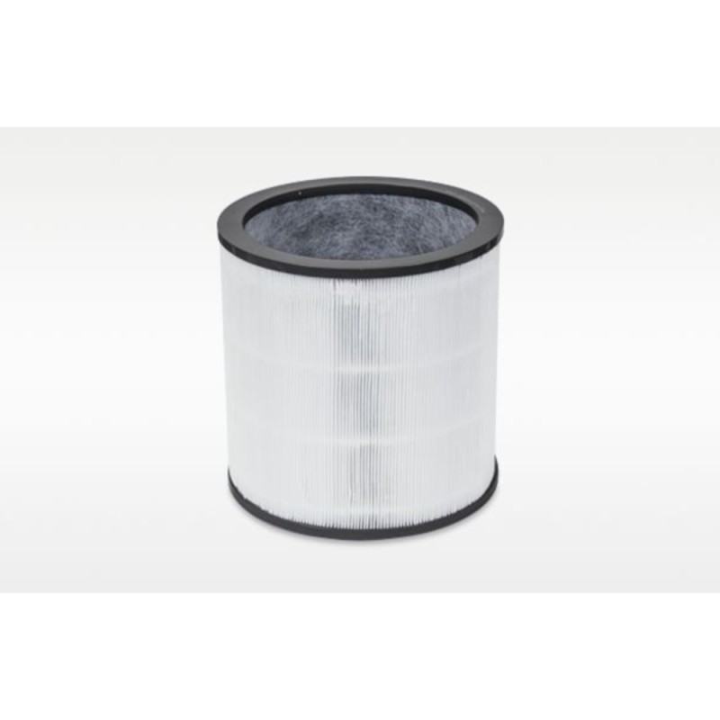 Dyson DYSON 972426-01 Evo Carbon Filter Retail for TP00/TP02