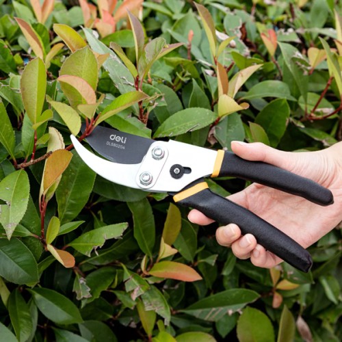 DELI DELI κλαδευτήρι DL580204, teflon, ρυθμιζόμενο, 21cm