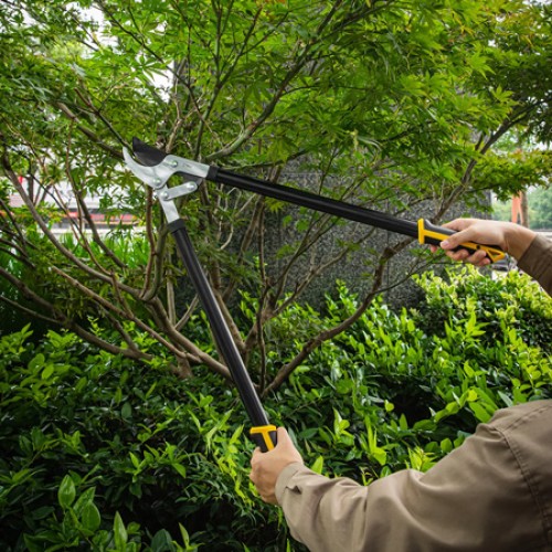 DELI DELI κλαδευτήρι DL580321 με αντιολισθητικές λαβές, 77.5cm