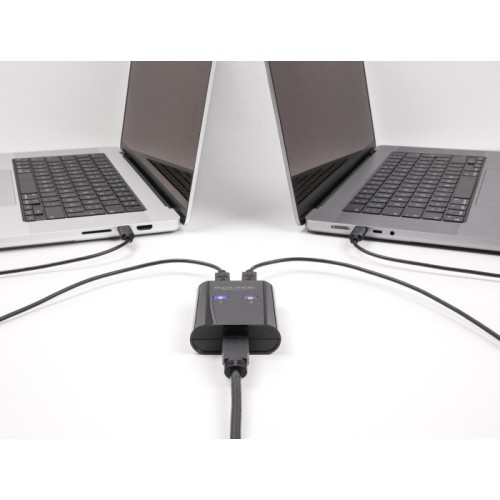 DELOCK DELOCK USB Type B switch 11503, 2 σε 1, μαύρο