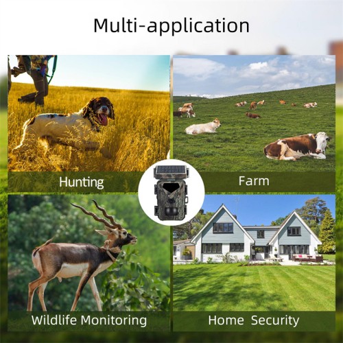 SUNTEK SUNTEK ηλιακή κάμερα κυνηγού MINI700, PIR, 20MP/1080p, SD, IP65