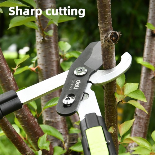 DELI DELI ψαλίδι κλάδου DL580423 για κλαδιά έως 25mm, πτυσσόμενο, 630-870mm