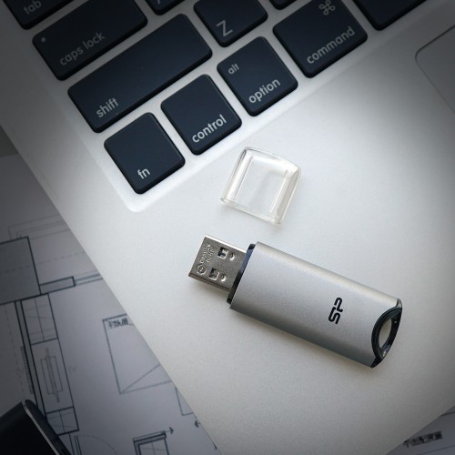 SILICON POWER SILICON POWER USB Flash Drive Marvel M02, 256GB, USB 3.2, γκρι