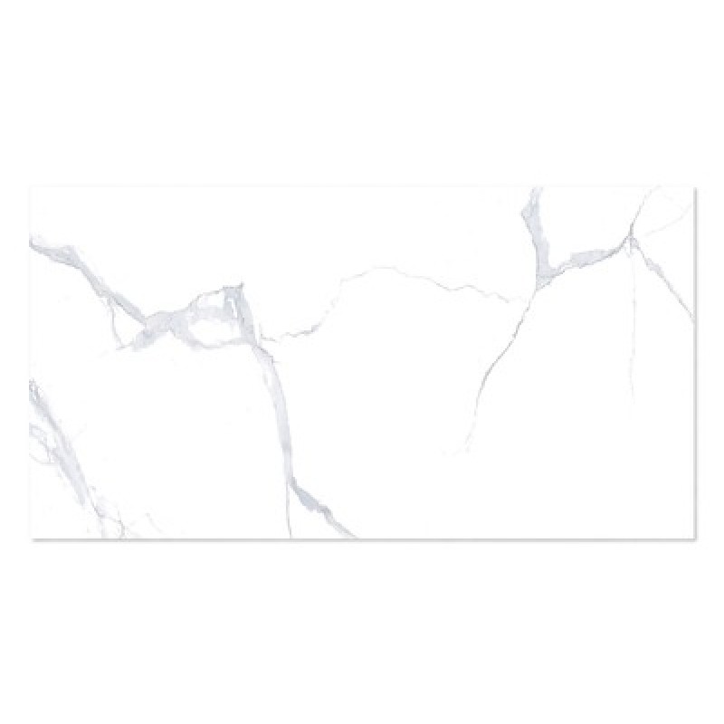 WINGRESS WINGRESS πλακάκι WNC-BELEN-WHITE, 120x60cm, glossy finish, belen white, 2τμχ 1.44m²