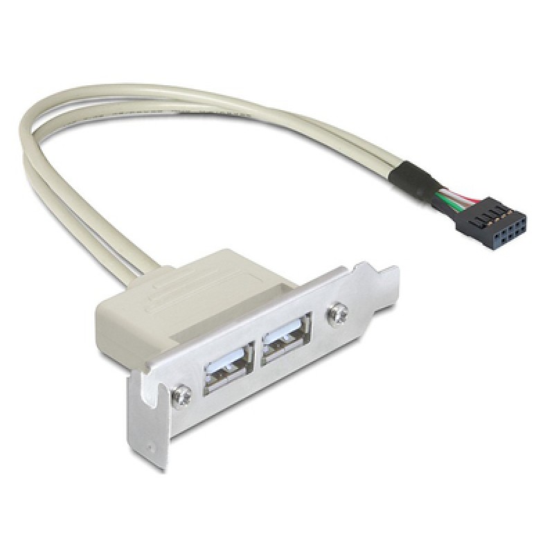 DELOCK DELOCK κάρτα επέκτασης USB 9 pin σε 2x USB 2.0 83119, low profile