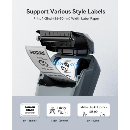 NIIMBOT NIIMBOT smart θερμικός εκτυπωτής ετικετών B1, 203dpi, Bluetooth, μπλε