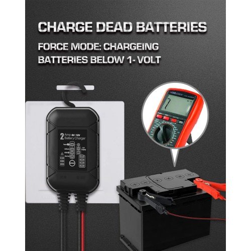 BYGD BYGD φορτιστής & συντηρητής μπαταρίας αυτοκινήτου S2000, 6-12V/2A