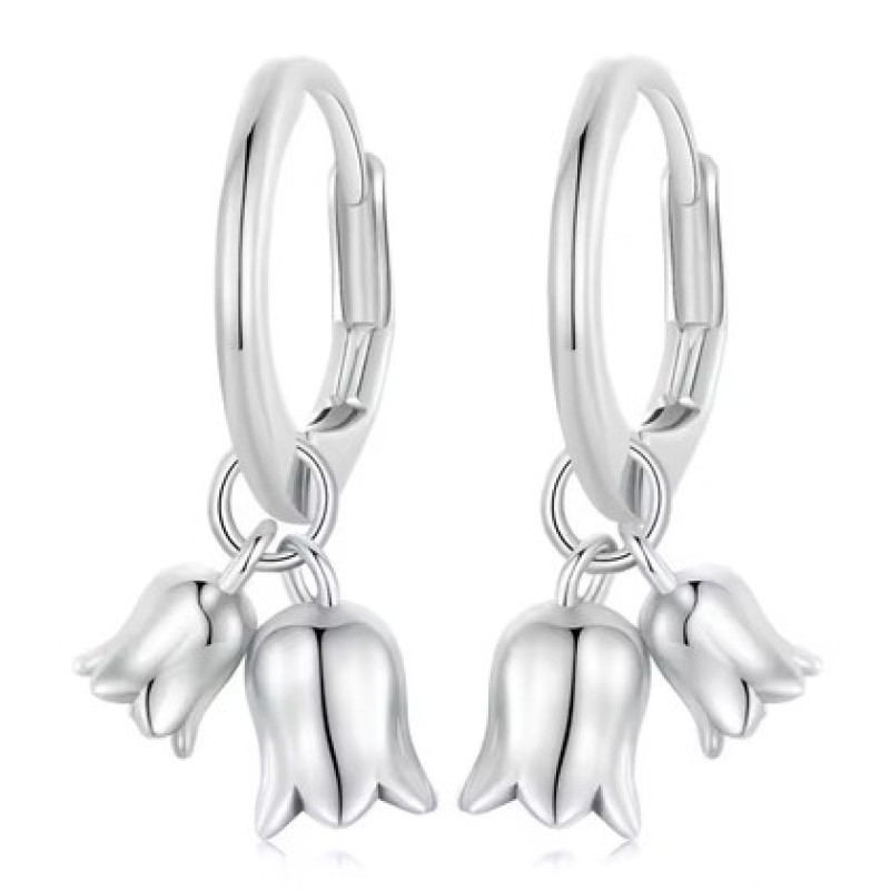 BAMOER BAMOER σκουλαρίκια κρίκοι BSE909, ασήμι 925, ασημί