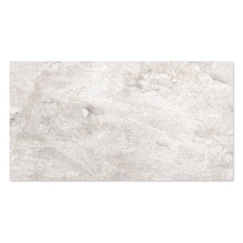 WINGRESS WINGRESS πλακάκι WNC-BRACIA-SILVER-GREY, 120x60cm, glossy finish, bracia silver grey, 2τμχ 1.44m²