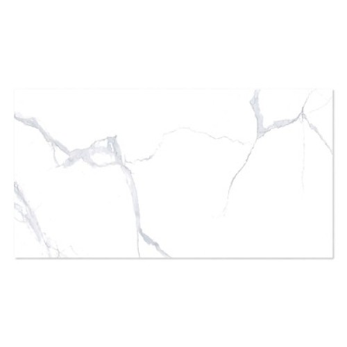 WINGRESS WINGRESS πλακάκι WNC-BELEN-WHITE, 120x60cm, glossy finish, belen white, 2τμχ 1.44m²